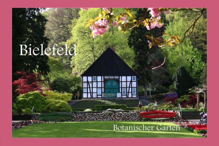 Grußkarte Bielefeld Botanischer Garten ostwestfaelisch